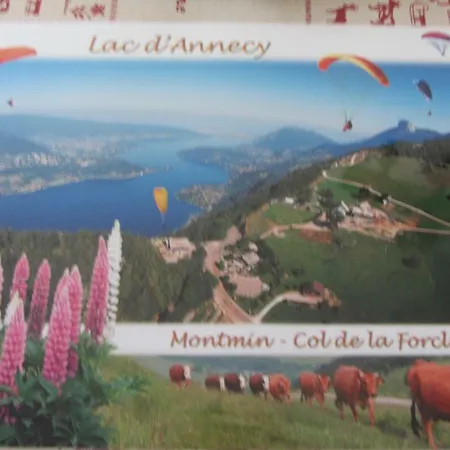 Le Nid Savoyard شقة *